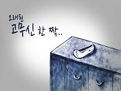 오래된 고무신 한 짝